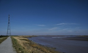 Steart Marshes