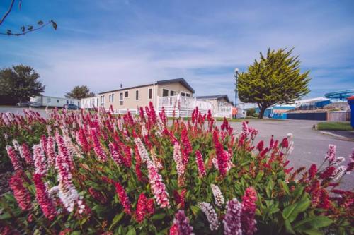Staycation In Brean