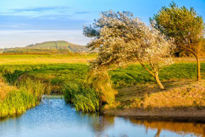 HRU Autumn Brean