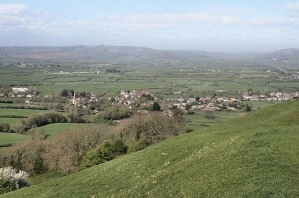 Brent Knoll